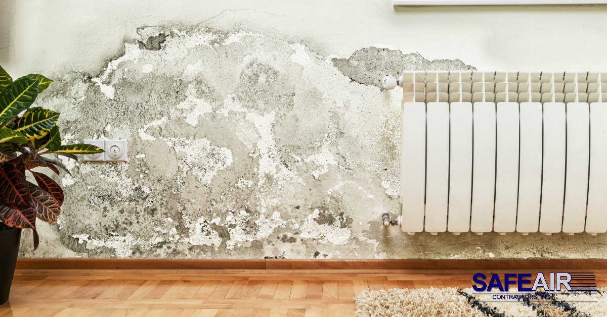 Getting Rid of Mold: Is It Okay to Let Mold Sit For a While?